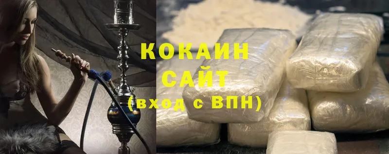 COCAIN Fish Scale  где можно купить наркотик  Новоалтайск 