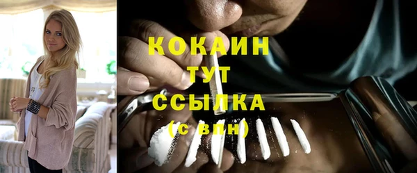 ALPHA PVP Новозыбков