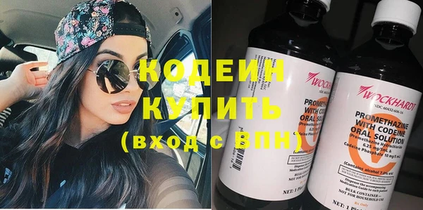 молекула духа Осинники