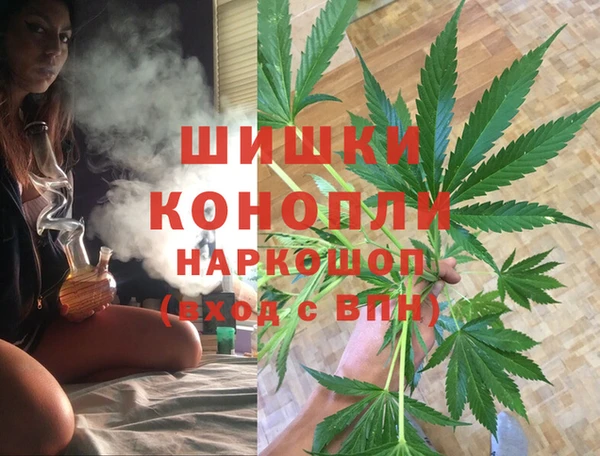 амф Магас