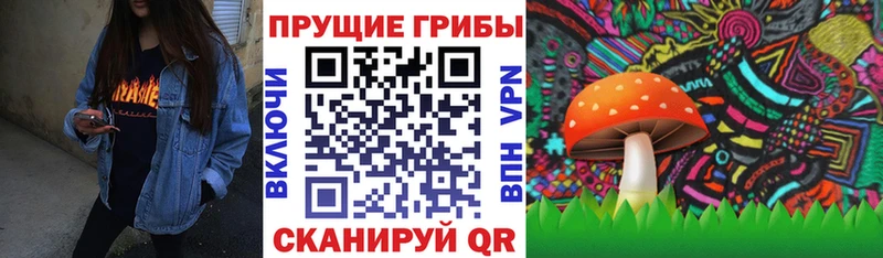 МЕГА ссылка  Новоалтайск  Галлюциногенные грибы прущие грибы  это какой сайт  наркотики 