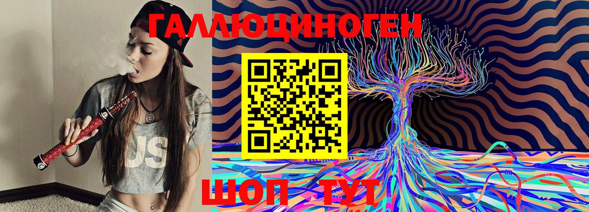 Галлюциногенные грибы Magic Shrooms  Новоалтайск  Псилоцибиновые грибы Cubensis 