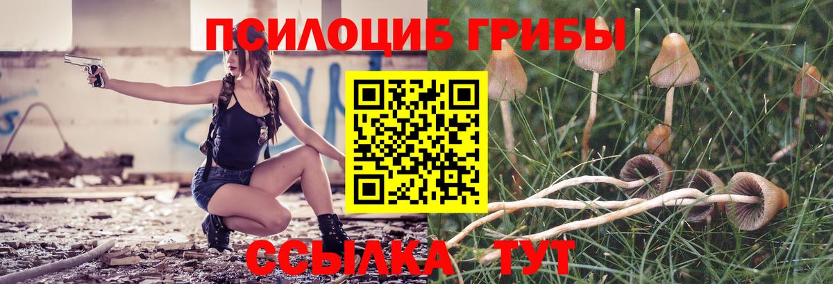 Новоалтайск  купить   Псилоцибиновые грибы Magic Shrooms  Вход с VPN  Псилоцибиновые грибы Psilocybe 