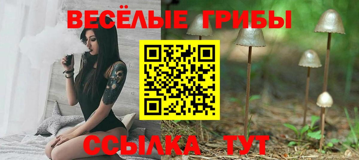 Галлюциногенные грибы Cubensis Новоалтайск