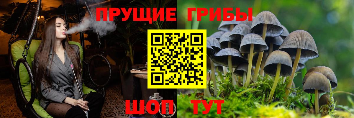 ГАШ  КОКАИН  ГАШИШ  Канабис  Меф кристаллы  МДМА  Новоалтайск  Вход с VPN 